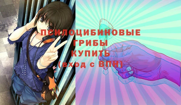 альфа пвп Калининец