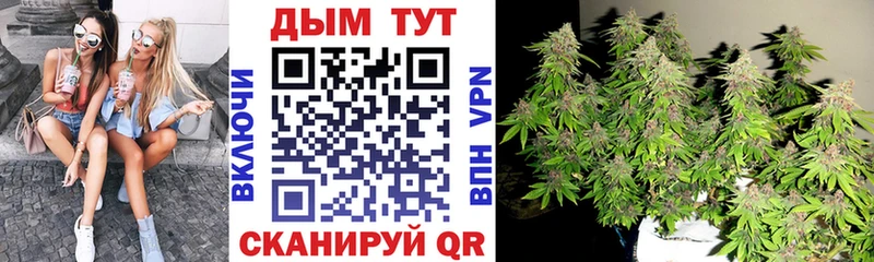 МАРИХУАНА конопля Абаза